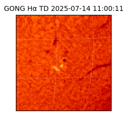 gong - 2025-07-14T11:00:11