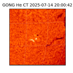 gong - 2025-07-14T20:00:42