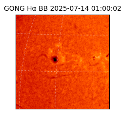 gong - 2025-07-14T01:00:02