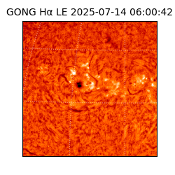 gong - 2025-07-14T06:00:42