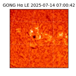 gong - 2025-07-14T07:00:42