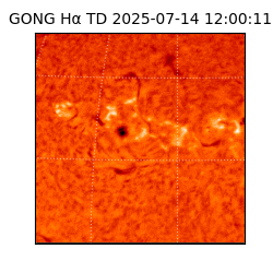 gong - 2025-07-14T12:00:11