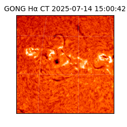 gong - 2025-07-14T15:00:42