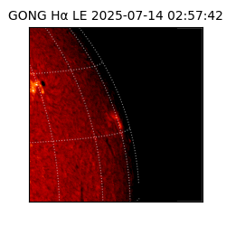 gong - 2025-07-14T02:57:42