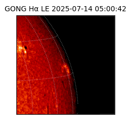 gong - 2025-07-14T05:00:42