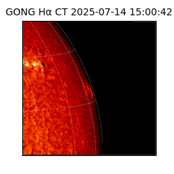 gong - 2025-07-14T15:00:42