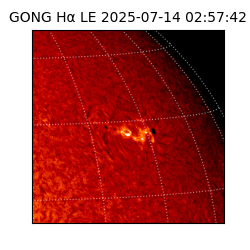 gong - 2025-07-14T02:57:42