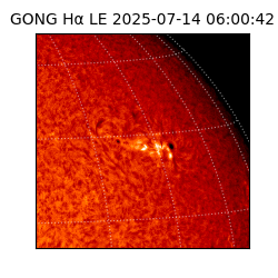 gong - 2025-07-14T06:00:42