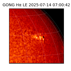 gong - 2025-07-14T07:00:42