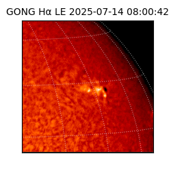 gong - 2025-07-14T08:00:42