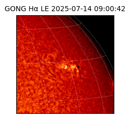 gong - 2025-07-14T09:00:42