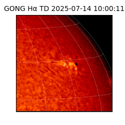 gong - 2025-07-14T10:00:11