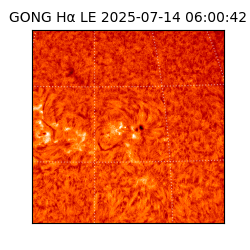 gong - 2025-07-14T06:00:42