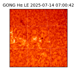 gong - 2025-07-14T07:00:42