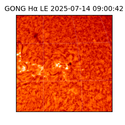 gong - 2025-07-14T09:00:42