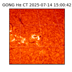 gong - 2025-07-14T15:00:42