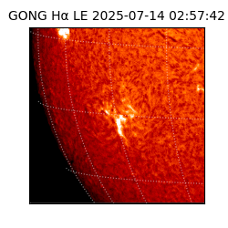 gong - 2025-07-14T02:57:42