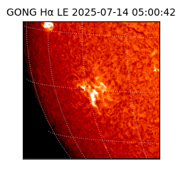 gong - 2025-07-14T05:00:42