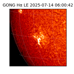 gong - 2025-07-14T06:00:42