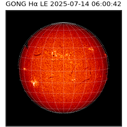 gong - 2025-07-14T06:00:42