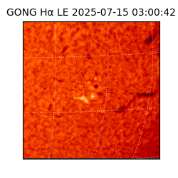 gong - 2025-07-15T03:00:42