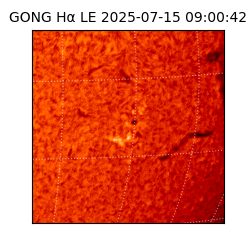 gong - 2025-07-15T09:00:42