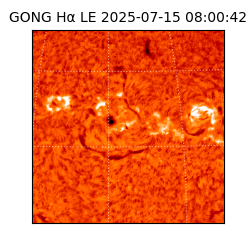 gong - 2025-07-15T08:00:42