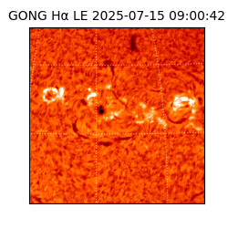 gong - 2025-07-15T09:00:42