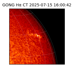 gong - 2025-07-15T16:00:42
