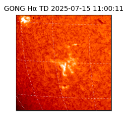 gong - 2025-07-15T11:00:11