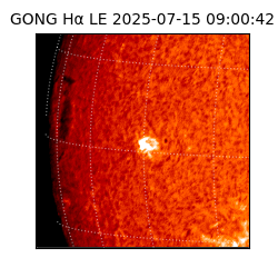 gong - 2025-07-15T09:00:42
