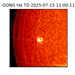 gong - 2025-07-15T11:00:11