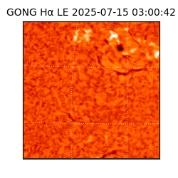 gong - 2025-07-15T03:00:42
