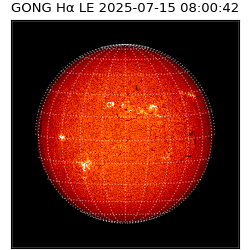gong - 2025-07-15T08:00:42