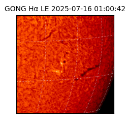gong - 2025-07-16T01:00:42