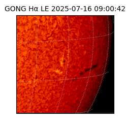gong - 2025-07-16T09:00:42