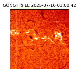 gong - 2025-07-16T01:00:42