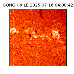 gong - 2025-07-16T04:00:42