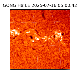 gong - 2025-07-16T05:00:42