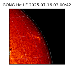 gong - 2025-07-16T03:00:42