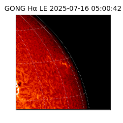 gong - 2025-07-16T05:00:42