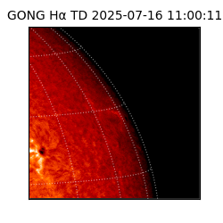 gong - 2025-07-16T11:00:11
