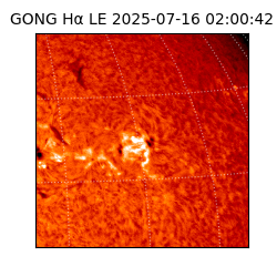 gong - 2025-07-16T02:00:42
