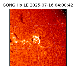 gong - 2025-07-16T04:00:42