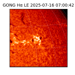 gong - 2025-07-16T07:00:42