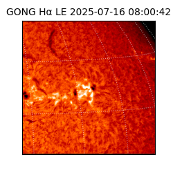 gong - 2025-07-16T08:00:42