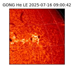 gong - 2025-07-16T09:00:42