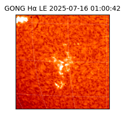 gong - 2025-07-16T01:00:42