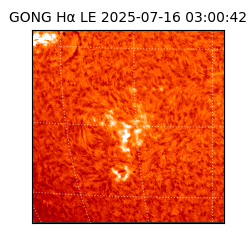 gong - 2025-07-16T03:00:42