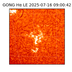 gong - 2025-07-16T09:00:42